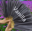 Varetas de Incenso Infundidas com Óleo Essencial com Aroma de Baunilha, Medindo 22.0 cm, Disponível em Embalagem  de  51 unidades. Proporcionam um Aroma de Madeira Natural e Duradouro, Ideal para Yoga, Meditação, Relaxamento